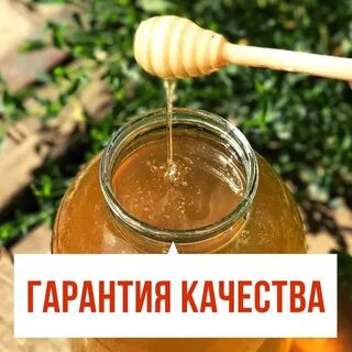 А2мед дачная