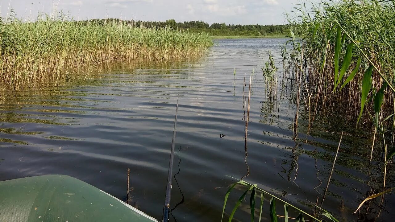 Левковское озеро. Скачальское озеро беларусь. Озеро левки. Скачальское озеро беларусь. Левковское озеро.
