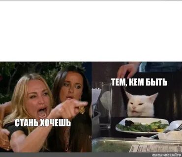 Мем с котом и двумя женщинами