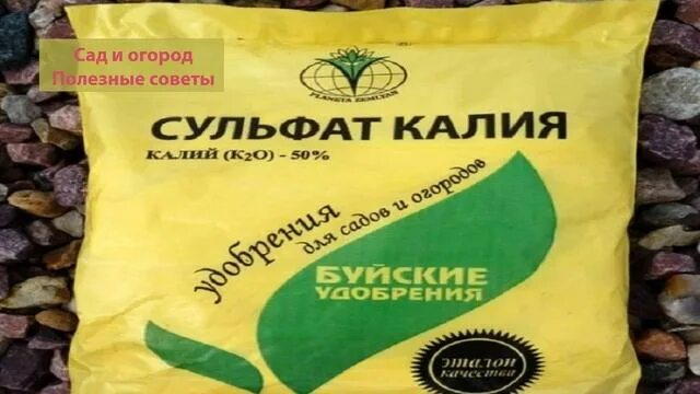 Сульфат калия удобрение. Калий удобрение. Сульфат калия буйские удобрения. Сульфат калия буйские удобрения 20 кг. Удобрение сульфат калия 1кг (пермагробизнес).