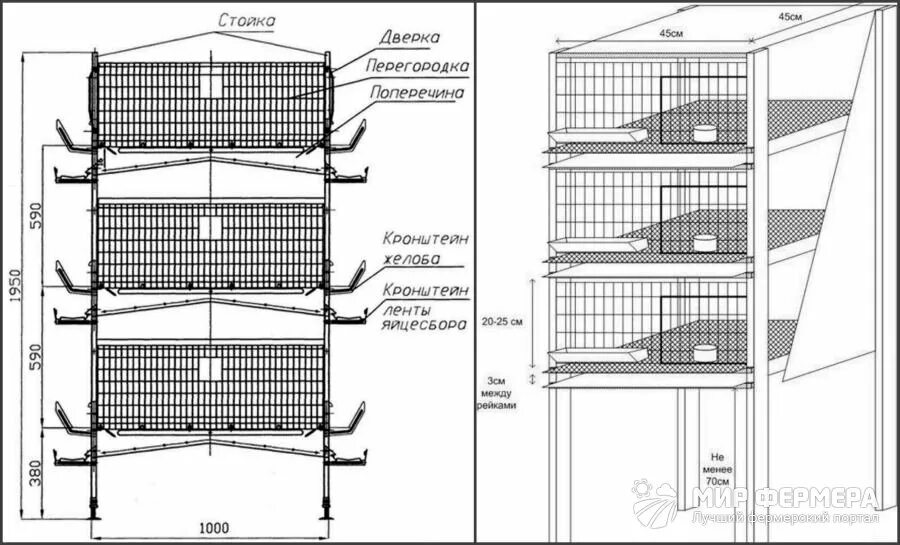 Размер клетки для кур несушек. Клетка для перепелов чертеж с размерами трехъярусная. Чертёж клетки для перепелов с размерами своими. Клетка для перепелов чертеж сетка. Клетка для перепелов Размеры чертеж.