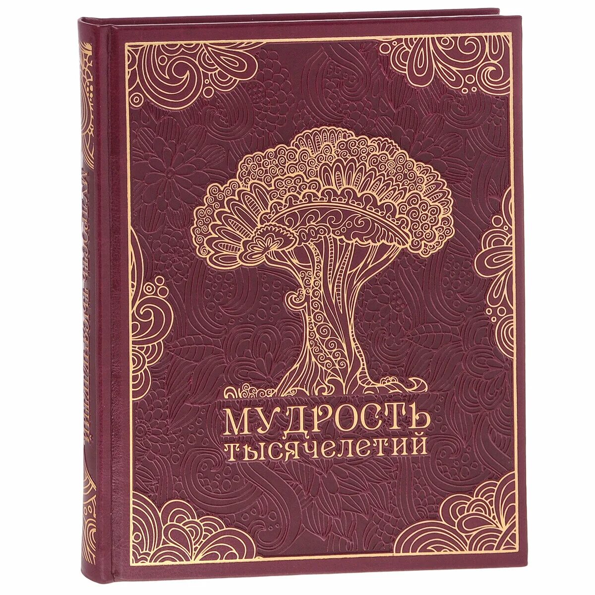 Тысячелетий разбор. Тысячелетий разбор
