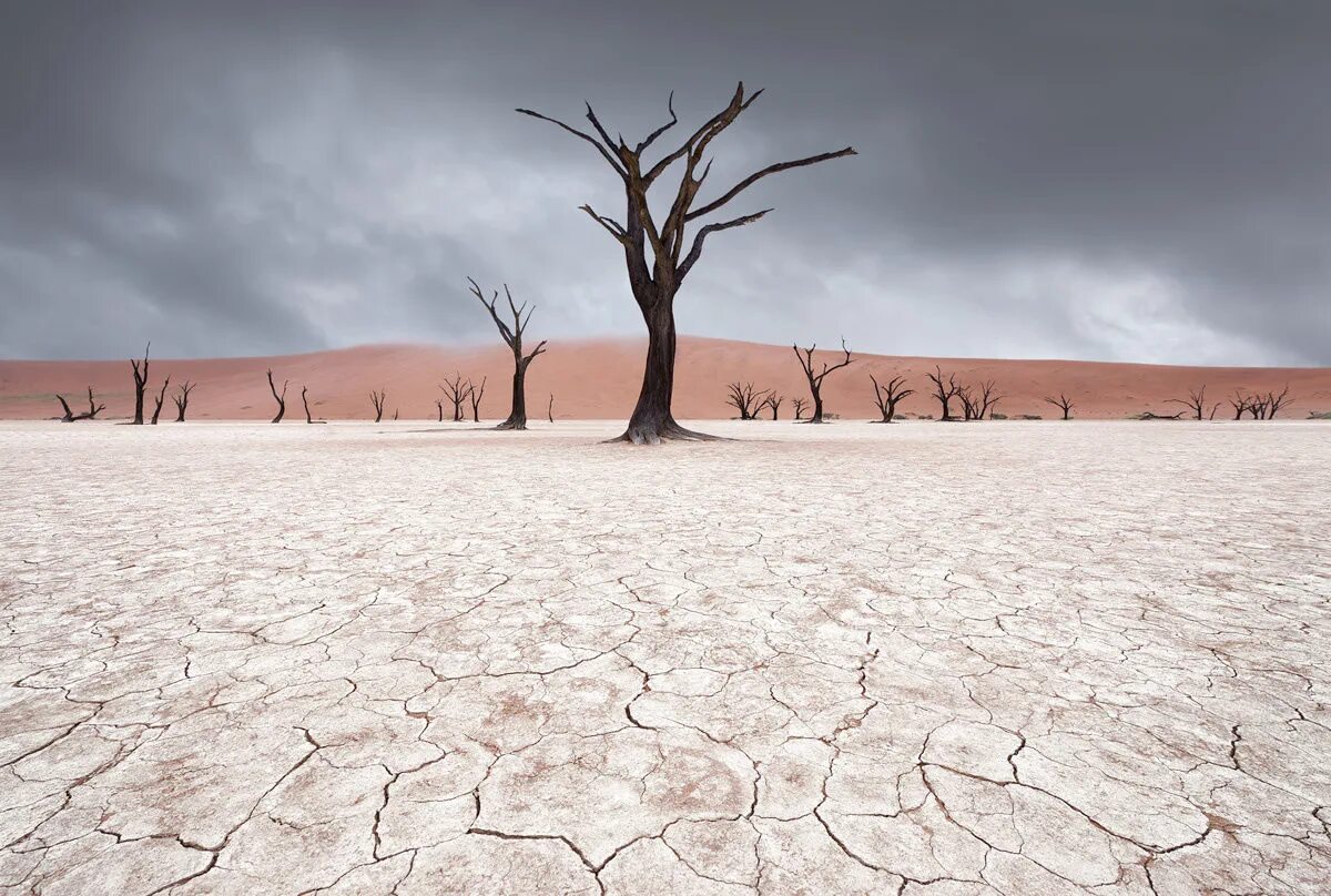 Пустыня Намиб Долина смерти. Мертвая Долина в пустыне Намиб. Сахель опустынивание. Пустыня засуха.
