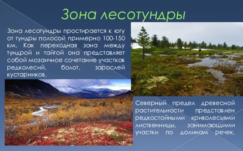 Ошибку для растительного покрова тундры характерно. Природная зона тундра климат. Тундра и лесотундра климат. Зона лесотундры. Растительность лесотундры.