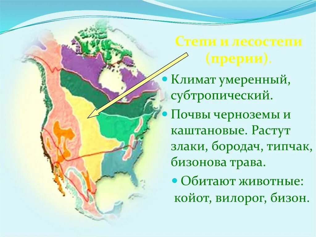 Природные зоны Северной Америки. Карта природных зон Северной Америки. Природные зоны Северной Америки 7 класс. Природные зоны Северной и Южной Америки. Климат природных зон северной америки таблица