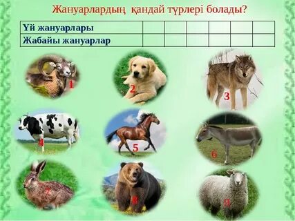 Үйдегі секс туралы бейнелерді қараңыз