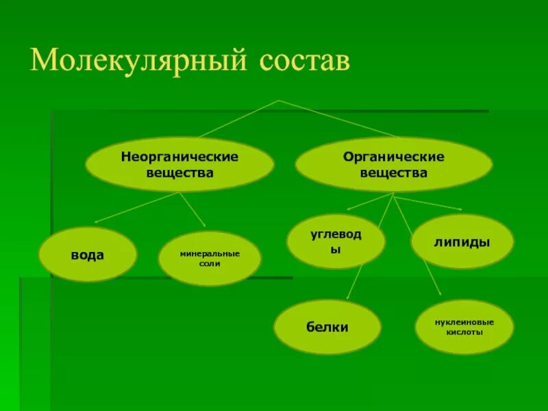 Проводят органические и минеральные вещества. Схема передвижение минеральных веществ в растении. Минеральные вещества понятие. Проводят органические и минеральные вещества. Неорганические вещества вода минеральные соли.