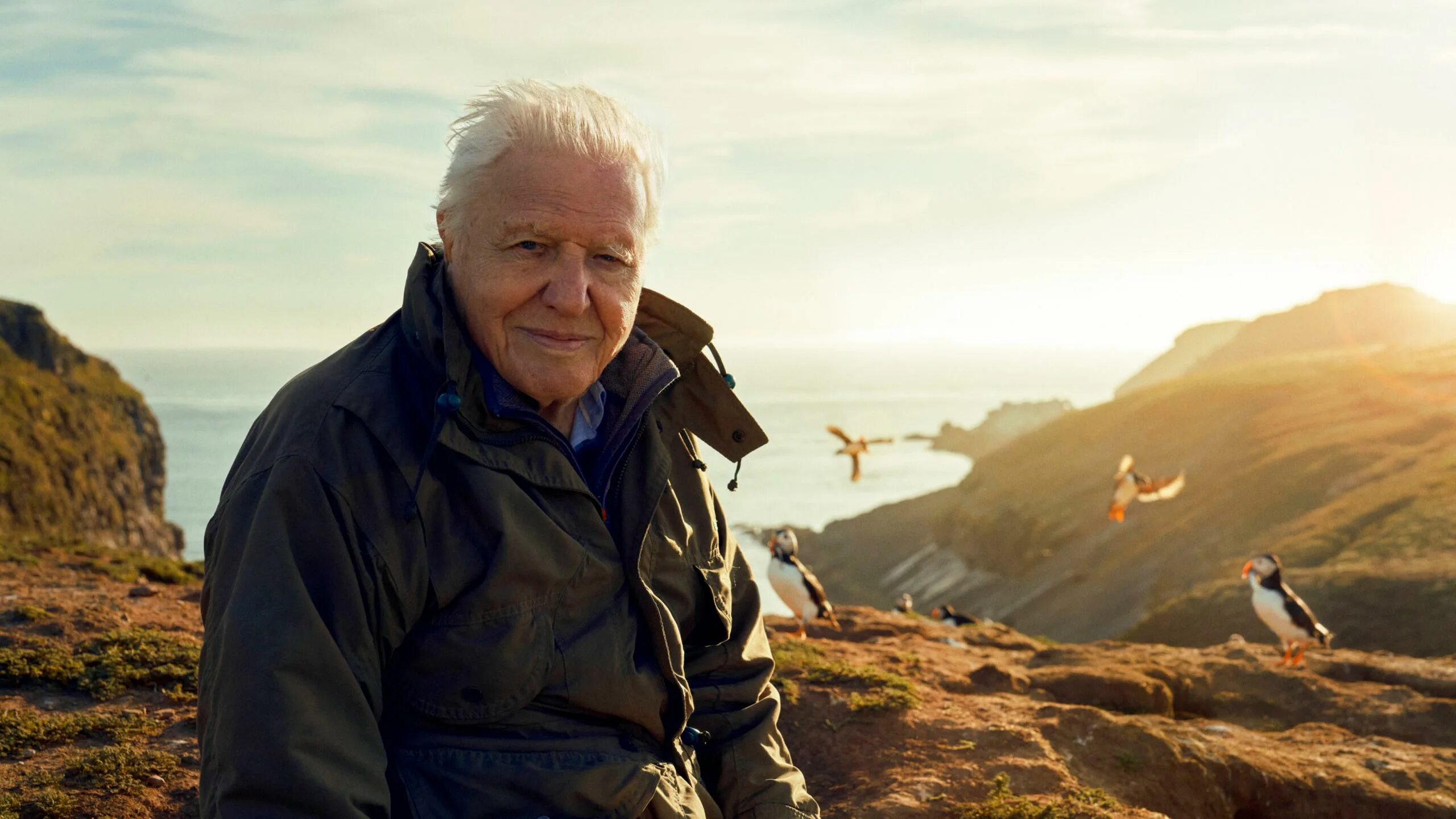 Дэвид Аттенборо. Sir David Attenborough. Дэвид Аттенборо 2024. Bbc: Истоки жизни Дэвид Аттенборо.