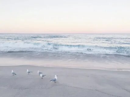 Нежное море картинки