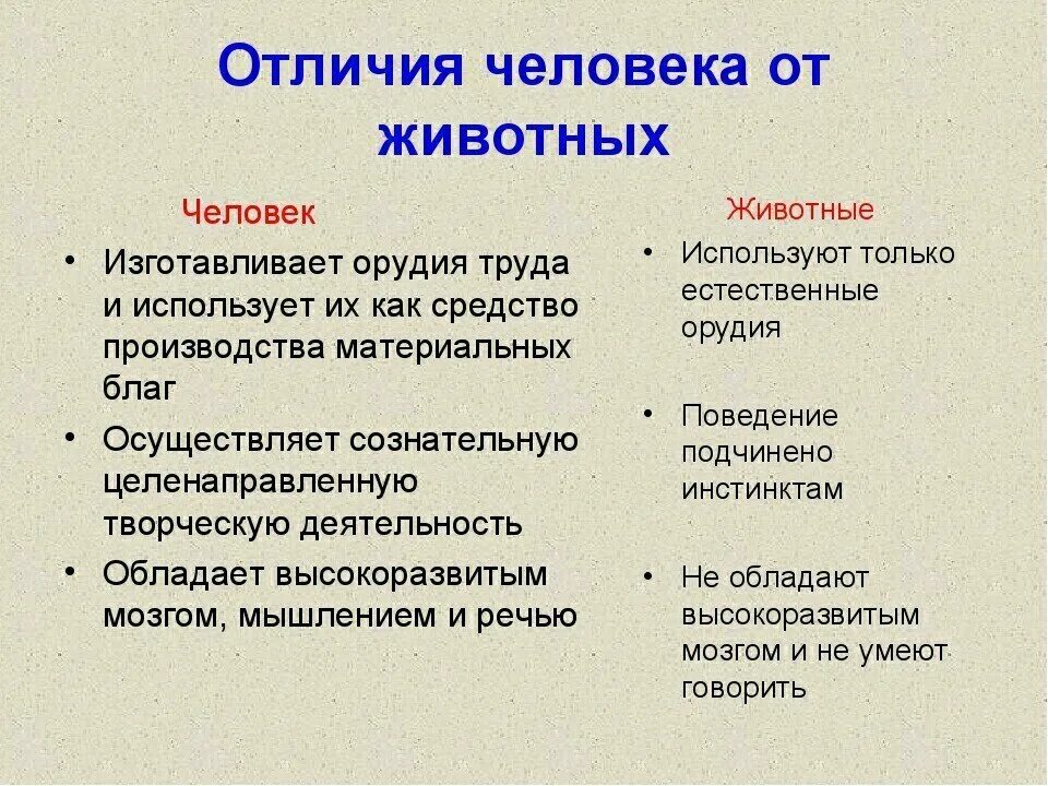 В чем заключается главное различие между. Различия человека и животных. Различия между человеком и животным. Отличие человека от животных. Различие человека и животного Обществознание.