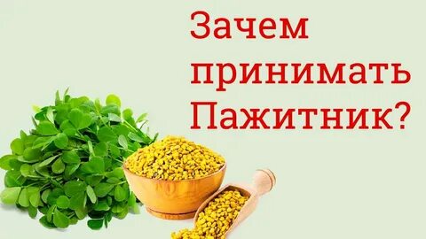 Пажитник как правильно ударение