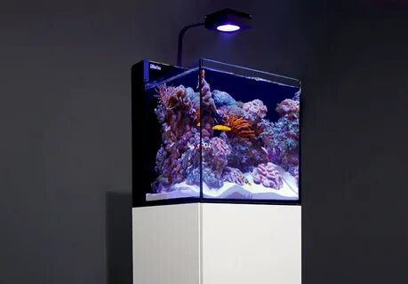 Nano max