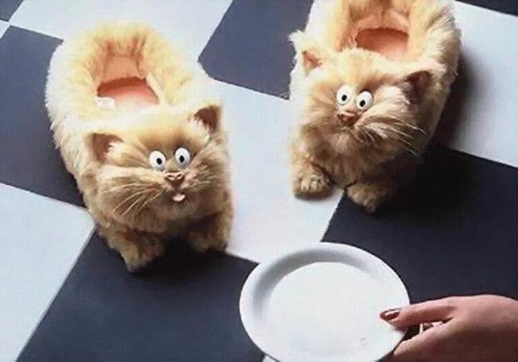 Веселые тапочки. Тапки хоббит hobbit. Тапочки гомер симпсон. Смешные тапочки. Говорящие тапки.