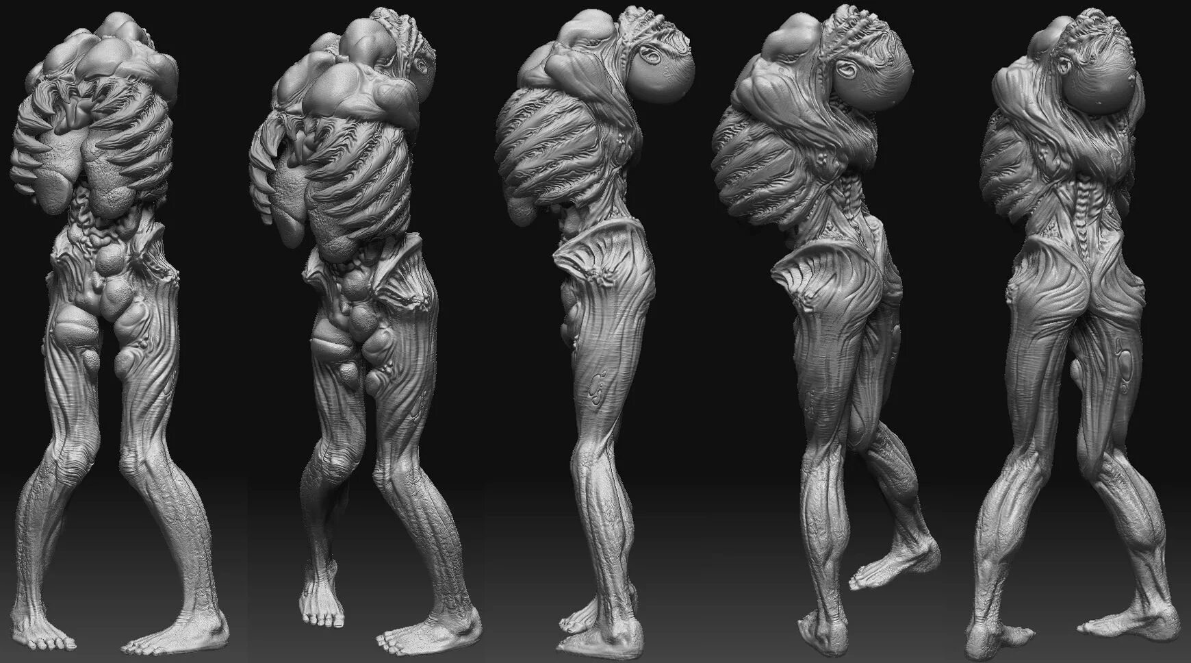 3д моделирование в Zbrush. 3д скульптинг Zbrush. 3d моделирование Zbrush. Zbrush анатомия человека.