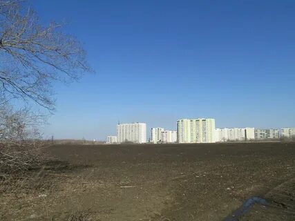 Нии поле