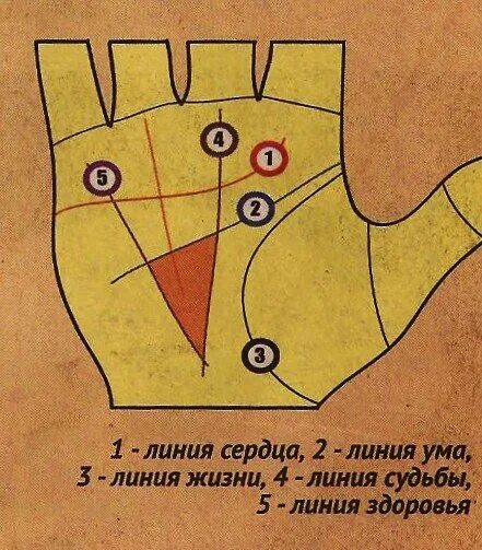 Как рассчитать денежный треугольник. Коррекционная хиромантия денежный треугольник. Линия жизни на ладони денежный треугольник. Хиромантия треугольник богатства на правой руке. Денежный треугольник на ладони хиромантия.