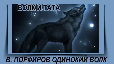 Слушать песню одинокий волк