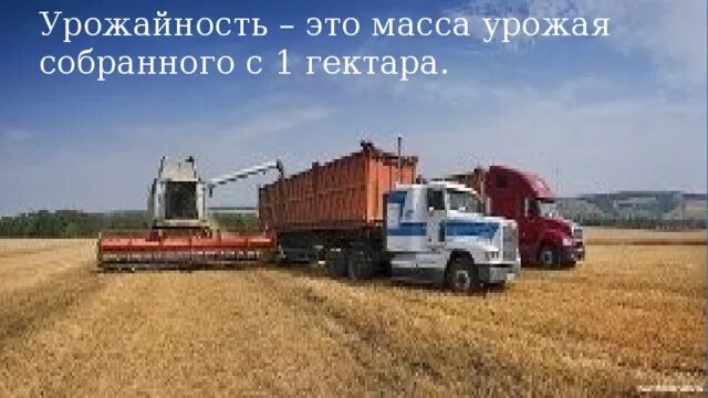 Урожайность это масса урожая. Урожайность. Урожайность это простыми словами. Был собран урожай 42