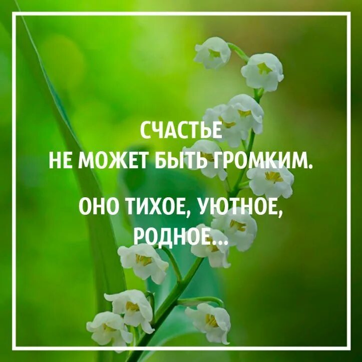 Счастье не может быть громким. Счастье оно тихое уютное родное. Счастье не может быть громким оно тихое. Счастье не бывает громким оно тихое уютное родное.