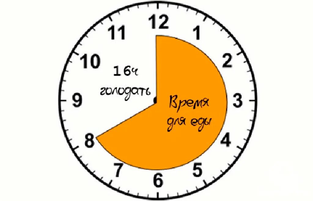 Время интервального голодания 16 8. Интервальное голодание 16/8 схема по часам. Интервальное голодание 16/8 схема для начинающих. Периодическое голодание схемы 16/8. Схема интервального голодания 16.