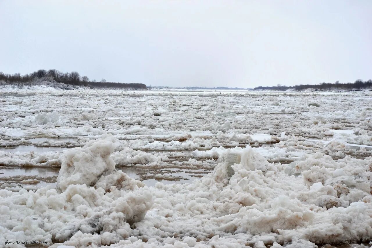 Ледоход на реке северная двина. Ледоход на Северной Двине. Северная Двина затор реки. На реке Тойме ледоход. Ледоход на Северной Двине 2023.