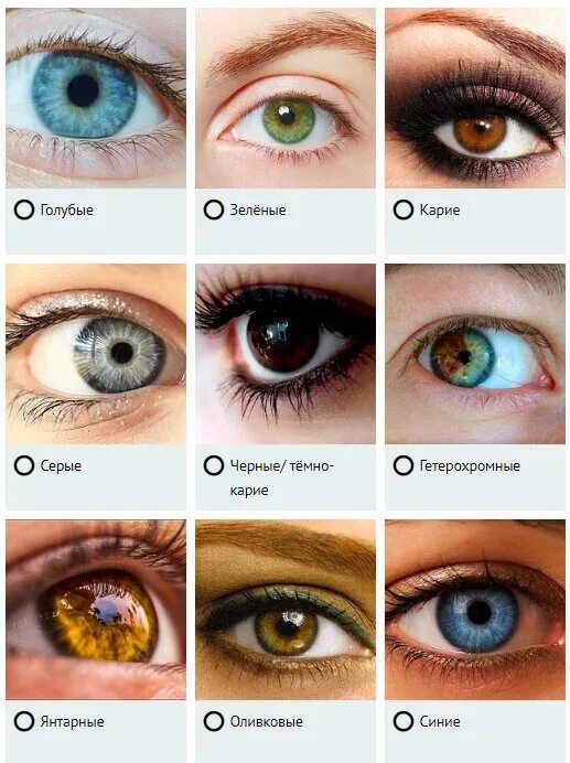 Цвет глаз. Цвета глаз и их названия. Цвета глад и их названия. Разновидности серых глаз. Какой глазок лучше