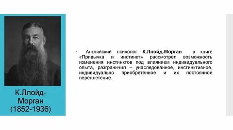 Ллойд морган