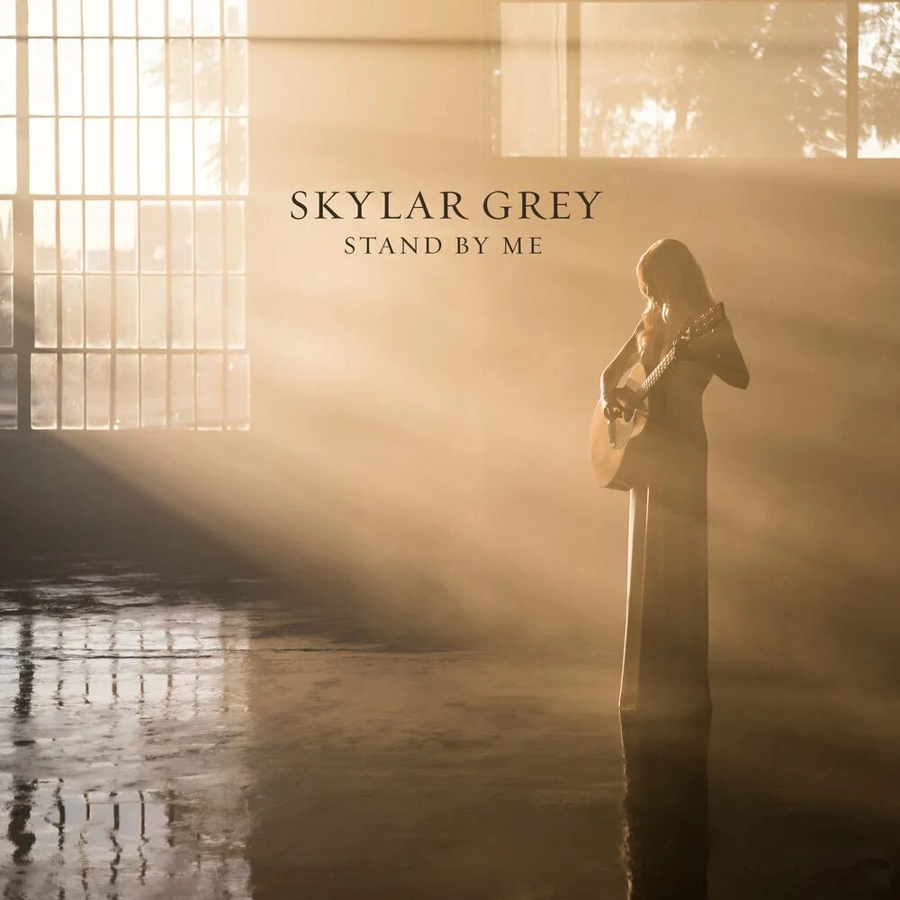 Skylar Grey. Скайлар грей last one standing. Skylar Grey albums. Skylar Grey обложка. Last ones standing