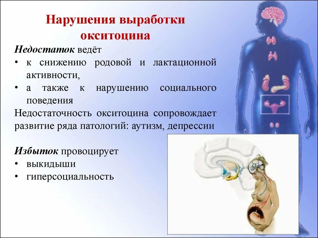 Нарушение выработки гормонов. Окситоцин избыток и недостаток. Недостаток окситоцина. Окситоцин избыток и недостаток гормона. Нарушение выработки окситоцина.