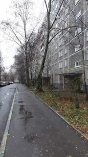 Москва миклухо маклая 29
