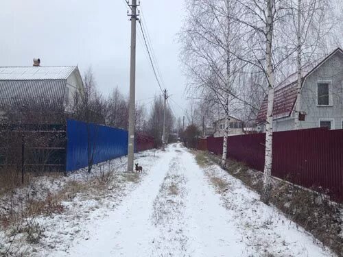 Снт крона. Снт назарьево. Деревня назарьево зеленоград. Снт пенаты зеленоград. Снт назарьево.