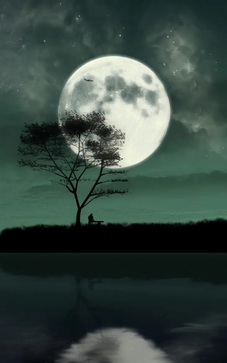 Lonely moon. Луна одиночество. Лунная ночь. Ночь Луна. Ночь Луна одиночество.
