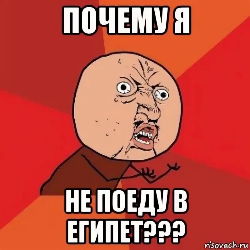 Приколы про отдых в египте. Русские в египте. Я тоже хочу в египет. Русские в египте юмор. Надписи все достало.