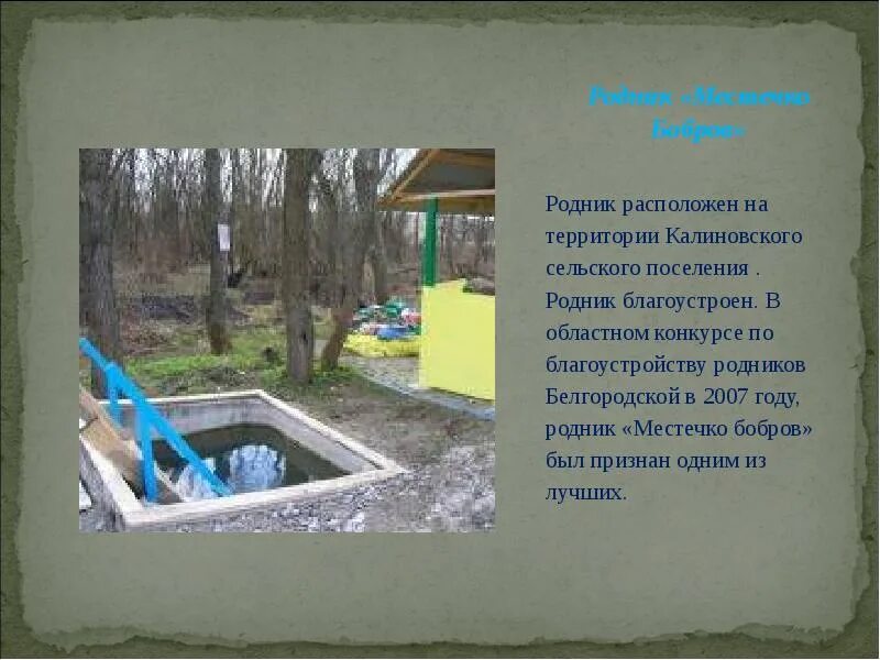 Презентация родники. Благоустройство родника. Родник презентация. Обустройство родника проект.