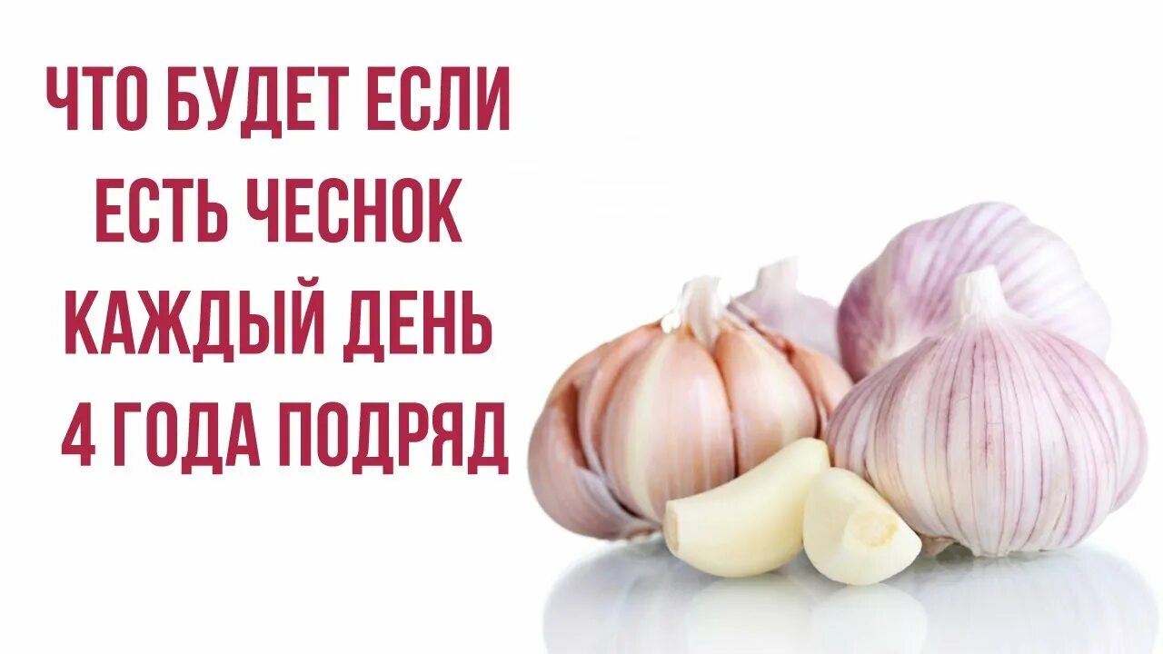 Есть чеснок каждый день. Что будет если есть чеснок каждый день. Кушать чеснок. Ешьте чеснок каждый день. Сколько пить чеснок