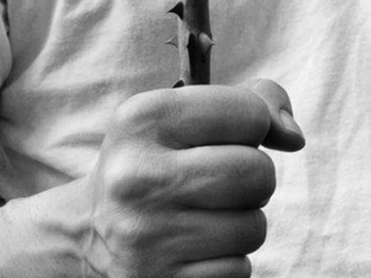 Терпение фото. Красота женщины в поступках. Афоризмы про терпение. Терпение цитаты. Медитация руки.