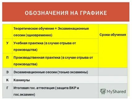 Учебный отдел практика