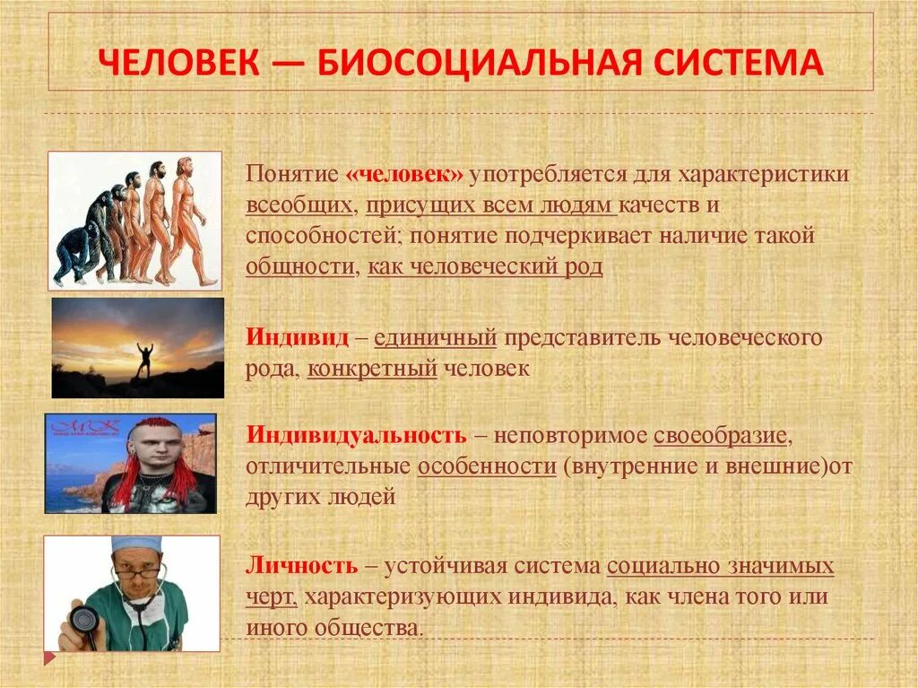 Как человек стал человеком кратко. Человек это в обществознании. Что делает человека человеком. Человек это по обществознанию. Понятие человечество.