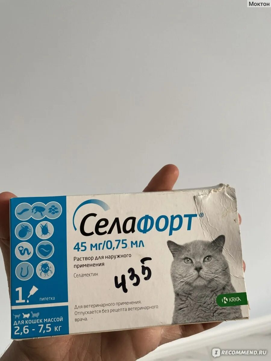 Селафорт для кошек 5 кг. Селафорт для кошек. Селафорт 7,5. Для котят селафорт аналоги кошек. Селафорт для кошек 7.6-10 кг.