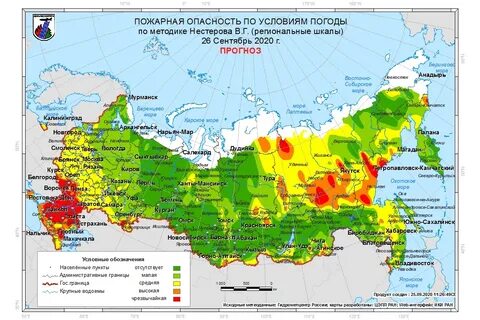 Какая погода в лесном