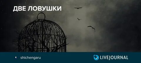 Силок 2
