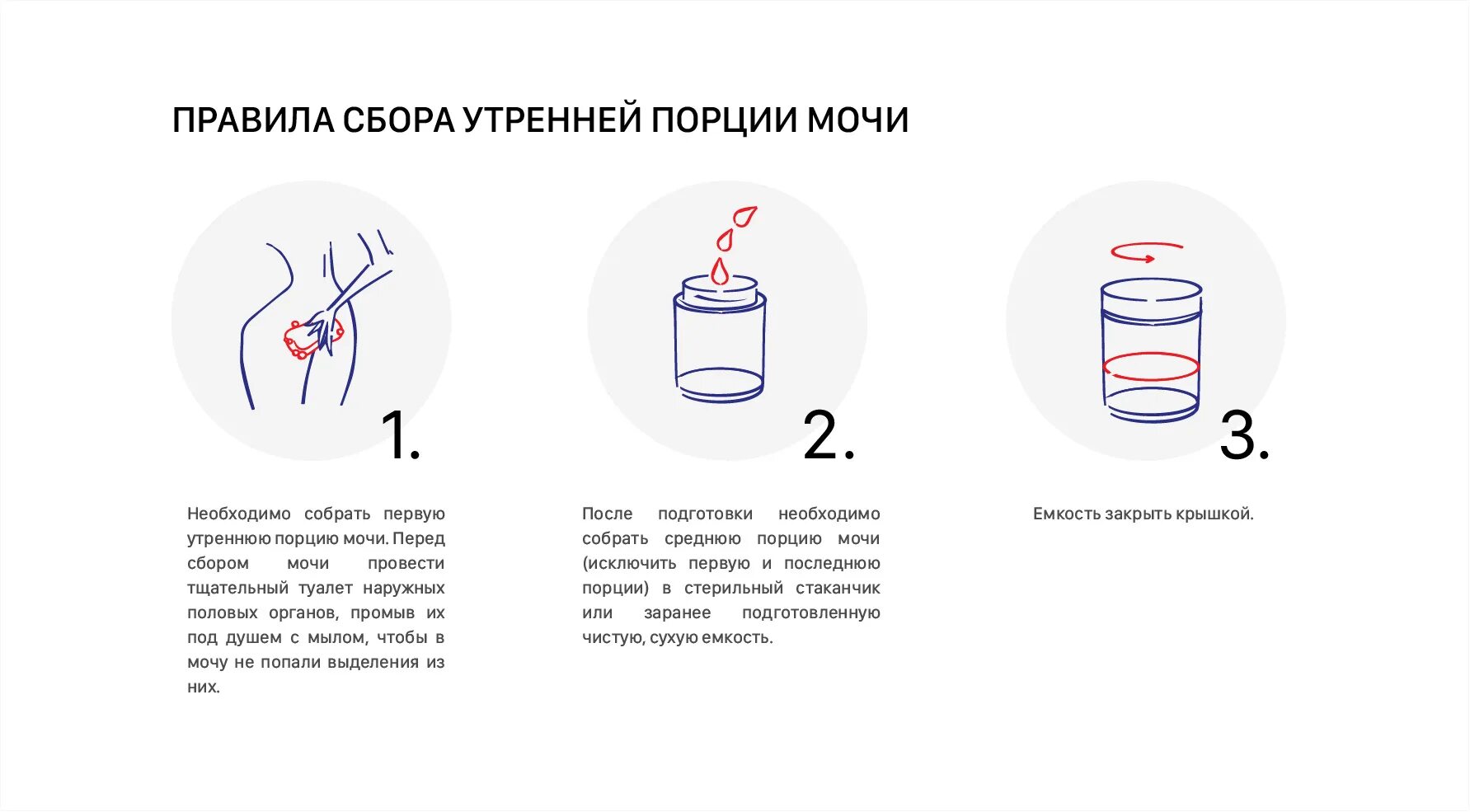 Собрать мочу с вечера на анализ. Порция мочи для анализа. Правильный сбор суточной мочи для анализа. Средняя порция мочи для анализа. Суточная порция мочи.