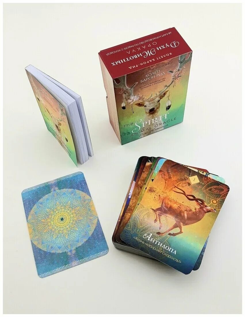 Таро духи животных оракул. Таро спирит энимал oracle. Оракул энимал спирит галерея. Оракул духи животных галерея. Оракул.
