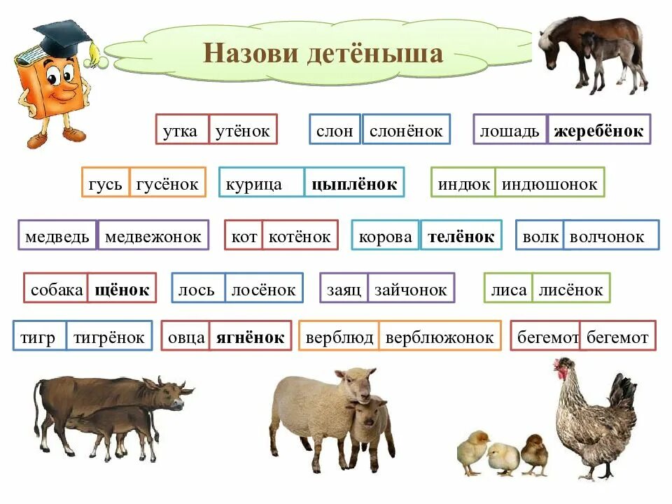 Какое слово означает животное. Детёныши животных названия. Детеныши зверей как называются. Образование названий детенышей животных. Название клички животных.