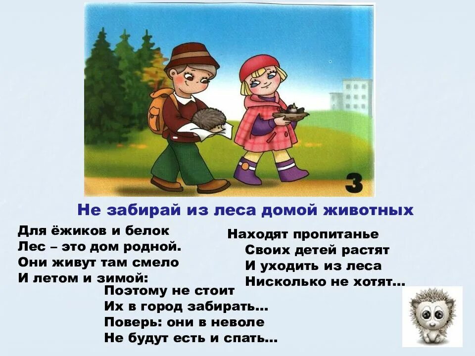 Безопасное поведение в лесу 3 класс. Правилаьповедения в лесу. правила поведения в лесу. правила поведения в дему. памятка поведения в лесу.