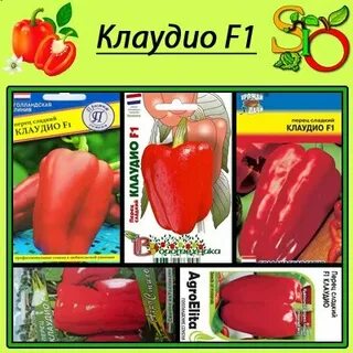 Перец клаудио характеристика и отзывы фото