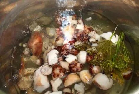 Маринование подтопольников