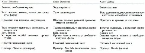 Характеристика червей плоские круглые кольчатые