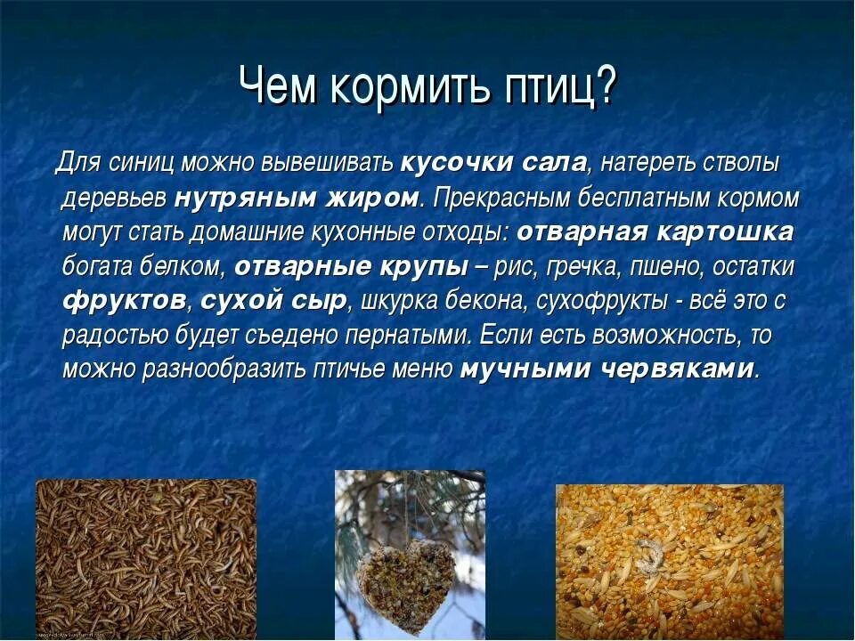 Перловка синичкам
