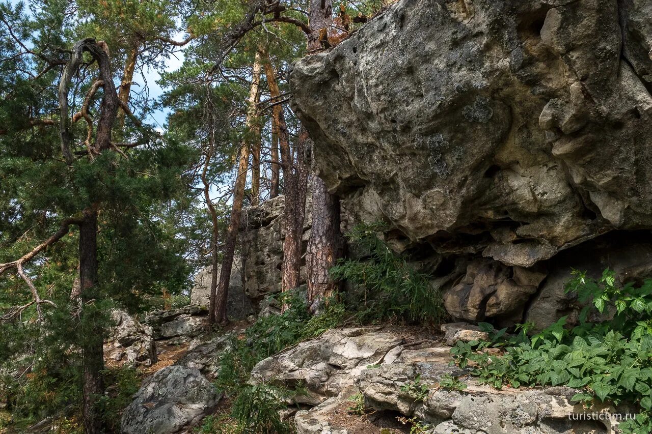 Каменный Лабиринт Рачейские Альпы. Смолькино Рачейские Альпы каменный Лабиринт. Рачейские скалы Самарская область. Рачейский Лабиринт Самарская область. Зарастание скалы